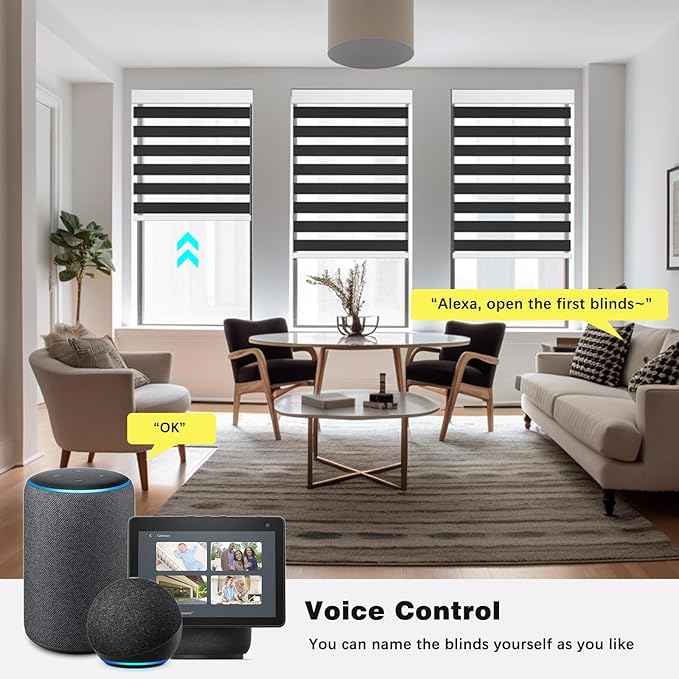 Changshade Custom Motorized Blinds Smart Zebra Roller Shades for Indoor Windows, Blackout Cordless Electric Power Automatic Remote Control Work with Alexa, Google Home, Apple Homekit,Smarthings,Black