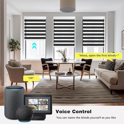 Changshade Custom Motorized Blinds Smart Zebra Roller Shades for Indoor Windows, Blackout Cordless Electric Power Automatic Remote Control Work with Alexa, Google Home, Apple Homekit,Smarthings,Black