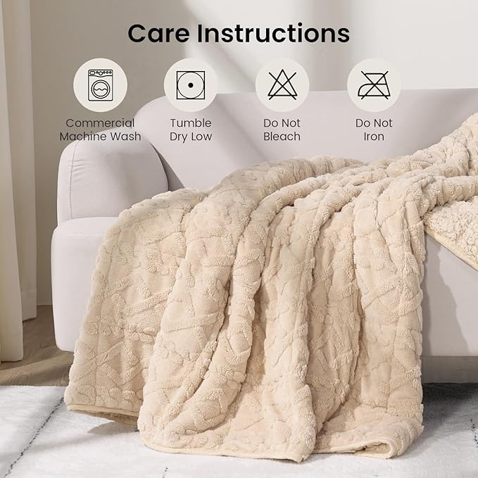 Drewin Weighted Blanket Queen Size 17lbs, Classy Soft Jacquard Sherpa Weighted Blankets for Sleep Natural and Calming, Ultra-Cozy Sofa Bed Blanket for Winter, Beige, 60 x 80 inches