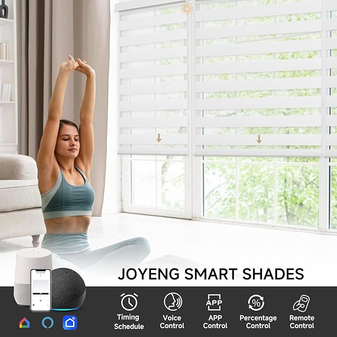Motorized Zebra Blinds, Cordless Blackout Window Shades with Remote, Custom Dual Layer Smart Roller Shades Compatible with Alexa Google Assistant, Automatic Light Filtering Blinds,White