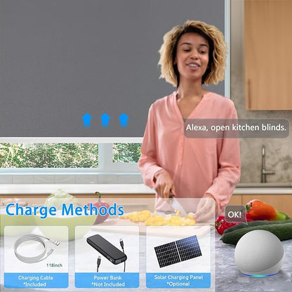 Motorized Blinds with Remote Cordless Automatic Motorized Shades Custom Blinds for Windows Smart Curtains Compatible with Alexa Google Home(Blackout Thunder Grey,W31 x H72in)