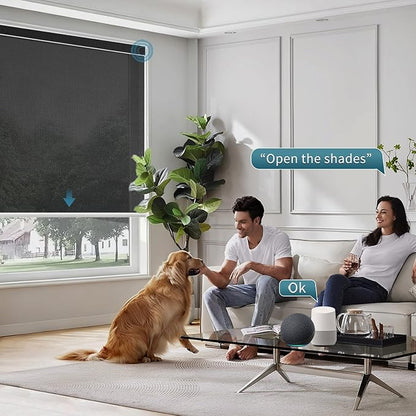 Motorized Blinds Work with Alexa,Google Asssitant,Homekit Over Thead,5% Openness Smart Blind with Remote Control,APP/Voice Control,Automatic Rechargeable Battery,5% Openness Aventus Black