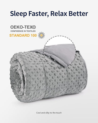 Mr. Sandman Weighted Blanket for Adults Queen, Minky Dots Heavy Blanket for Woman,Man Sleeping/Calm, Soft, Cozy and Cooling Weighted Throw Blankets, Machine Washable, 80 x 87in, 20 Pounds, Grey