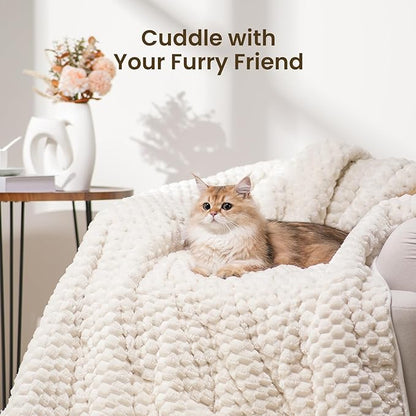 Drewin Weighted Blanket for Adults Queen Size 15lbs, Soft Cozy Turtleback Sherpa Weighted Blankets for Sleeping and Calming, Thick Bed Blanket for Couch Bed, 60 x 80 inches, Cream White