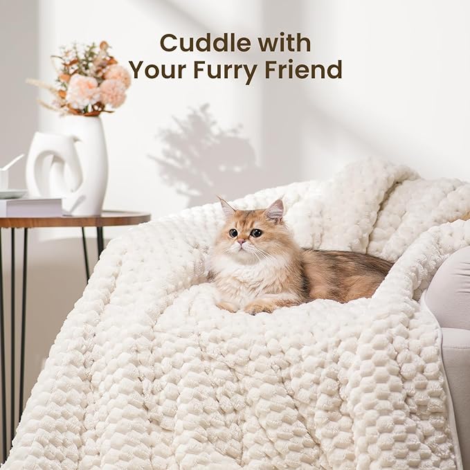 Drewin Weighted Blanket 15lbs, Adult Weighted Blankets with Double-Sided Shaggy Sherpa, Soft Plush Jacquard Bed Blanket for Sleeping and Calming, Ceramic Beads, Cream White, 48 x 72 inches