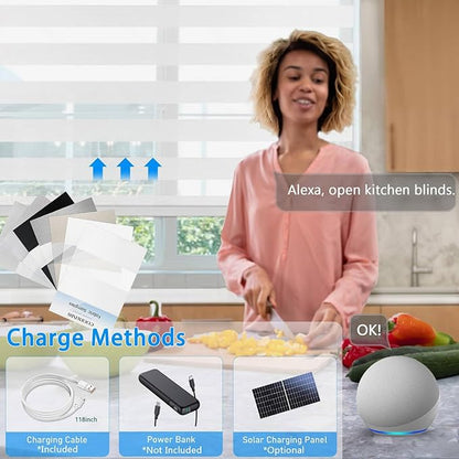 Motorized Zebra Blinds for Windows Cordless Electric Curtains with Remote Control Blackout Shades Custom Smart Blinds Compatible with Alexa Google Home?Febric Color Swatches?