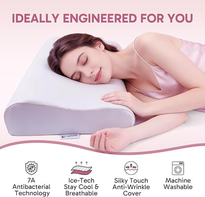 Ergonomic Memory Foam Pillow 2 heights: Mid-Low, Cervical Support Relieve Neck Back Pain, Breathable Cool Ice Silk Anti-Wrinkle Cover, SGS Certificates, for Side Back Stomach Sleeper, Queen Size