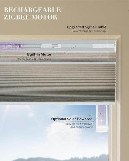 Graywind Motorized Day Night Cellular Shades with Remote, Smart Honeycomb Blinds Compatible with Alexa & Google Home, Custom Size Blackout/Privacy for Bedroom, Living Room & Home Office, Brown
