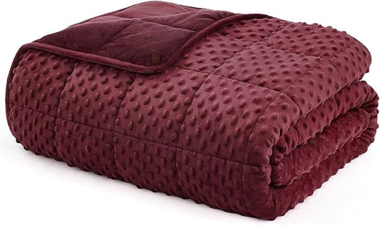 L'AGRATY Weighted Blanket - 48"x72" 10lbs Minky Dots Heavy Blanket with Glass Beads Soft Breathable for All-Season Summer Fall Winter Thick Comfort for Sleeping