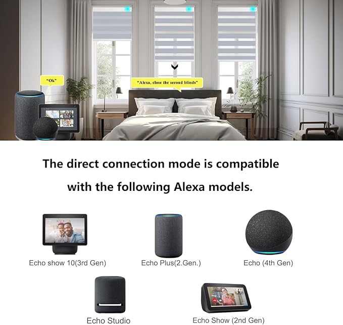 Changshade Blackout Motorized Smart Zebra Blinds with Remote Control for Indoor Windows Doors, Custom Zebra Roller Shades Electric Automatic Work with Alexa, Goole Home, Apple Homekit, Dark Grey