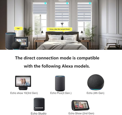 Changshade Blackout Motorized Smart Zebra Blinds with Remote Control for Indoor Windows Doors, Custom Zebra Roller Shades Electric Automatic Work with Alexa, Goole Home, Apple Homekit, Dark Grey