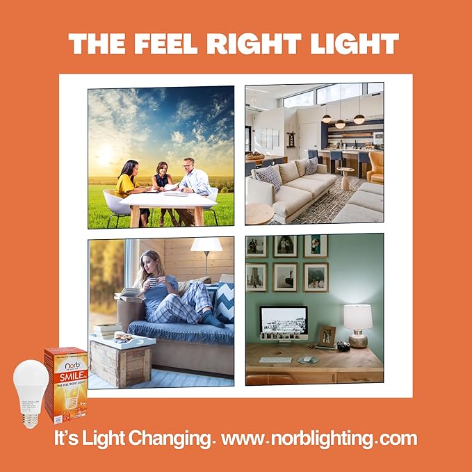 NorbSMILE Full Spectrum Light Bulb - Sunlike Premium A19 9W Wellness LED. Boosts Energy & Mood, Supports Circadian Rhythm, High Color Rendering, Imitates Sunlight Indoors, Energy Compliant (1-Pack)