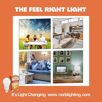 NorbSMILE Full Spectrum Light Bulb - Sunlike Premium A19 9W Wellness LED. Boosts Energy & Mood, Supports Circadian Rhythm, High Color Rendering, Imitates Sunlight Indoors, Energy Compliant (1-Pack)