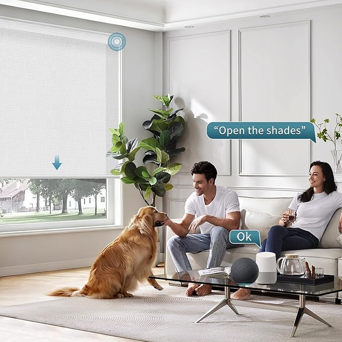 Motorized Roller Shades Light Filtering Roller Shades,70% Blackout Smart Shades Compatible with Alexa,Google Home,Remote Control Electric Blinds,Custom Size,Texture Ivory