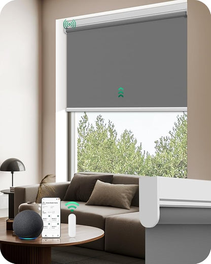 Allesin Motorized Roller Blinds with Remote Control for Windows, Blackout Automatic Smart Shades,Dry Battery Powered Electric Blind (Smoky Gray 48" W x 72" H)