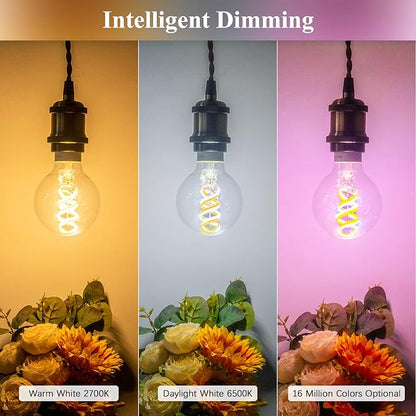 DiCUNO Smart Edison Bulb G80, Color Changing WiFi Smart Light Bulb, Vinatge Globe Filament Bulb Compatible with Alexa & Google, Dimmable with App, 50 Watt Equivalent 450LM, No Hub Required, 1 Pack