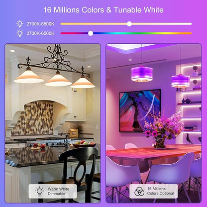 FRIDEKO HOME LED Smart Light Bulbs - Wi-Fi & Bluetooth Light Bulbs, Color Changing Light Bulb Compatible with Alexa and Google Assistant, A19 E26 RGBTW Light Bulb, 800LM (2 Pack)