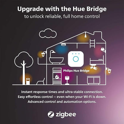 Philips Hue Enrave Large Ceiling Lamp, White - White Ambiance Warm-to-Cool White Smart LED Light - 1 Pack - Control with Hue App - Compatible with Alexa, Google Assistant, and Apple Homekit