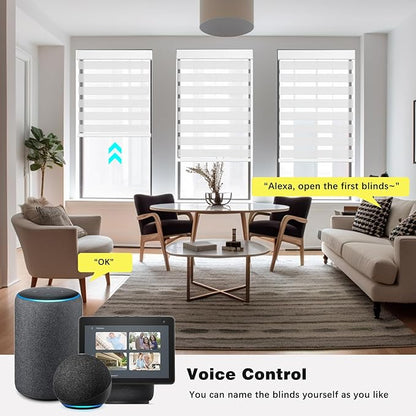 Changshade Smart Motorized Zebra Roller Blinds Shades for Indoor Windows Doors Remote Control, Cordless Electric Automatic Custom Size Work with Alexa, Google Home, Apple Homekit,Light Filtering,White