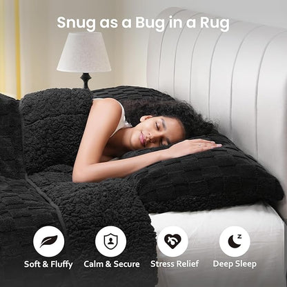 Drewin Weighted Blanket Queen Size 15lbs, Dual Sided Soft Cozy Jacquard Checkered Sherpa Weighted Blanket for Adults, Ultra-Soft Fluffy Heavy Blanket for Sofa Bed, 60 x 80 inches, Black