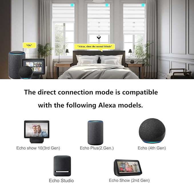 Changshade Custom Motorized Smart Zebra Blinds Remote Control, Cordless Blackout Electric Automatic Shades for Indoor Windows Doors Work with Alexa, Google Home, Apple Homekit, SmartThings, White