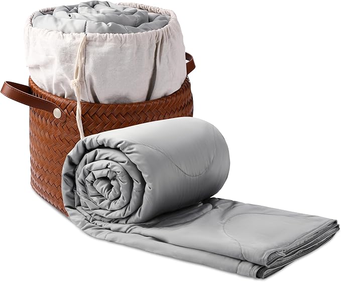 Silk Comforter Queen Size | 100% Mulberry Silk Fill with Organic Bamboo Viscose Shell | Summer Cooling Blanket for Hot Sleepers, Lightweight Breathable All-Season Bedding (Ice Grey, 90"x90")