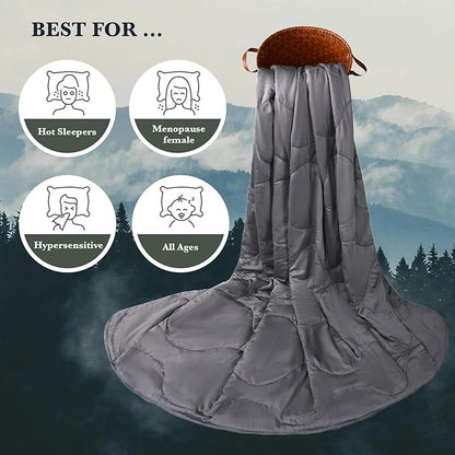 Silk Comforter Queen Size | 100% Mulberry Silk Fill with Organic Bamboo Viscose Shell | Summer Cooling Blanket for Hot Sleepers, Lightweight Breathable All-Season Bedding (Slate, 90"x90")