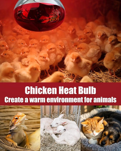 250W R40 Red Heat Lamp Bulbs, 8000 Hours Rated, Infrared Flood Light, Brooder Heating Lamp for Chickens, Reptiles, Pets, Bathroom, E26 Base - 12 Pack