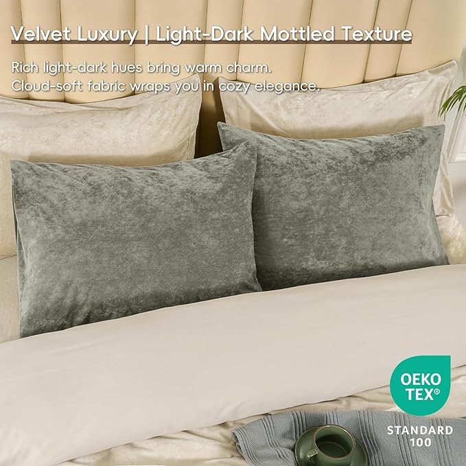 PHF Truly Velvet Pillowcases Standard Size, No Insert, 2 Pack Ultra Soft Breathable Pillow Shams Covers with Envelope Closure, 20" X 26" Luxury Cozy Warm Fuzzy Flannel, Vetiver