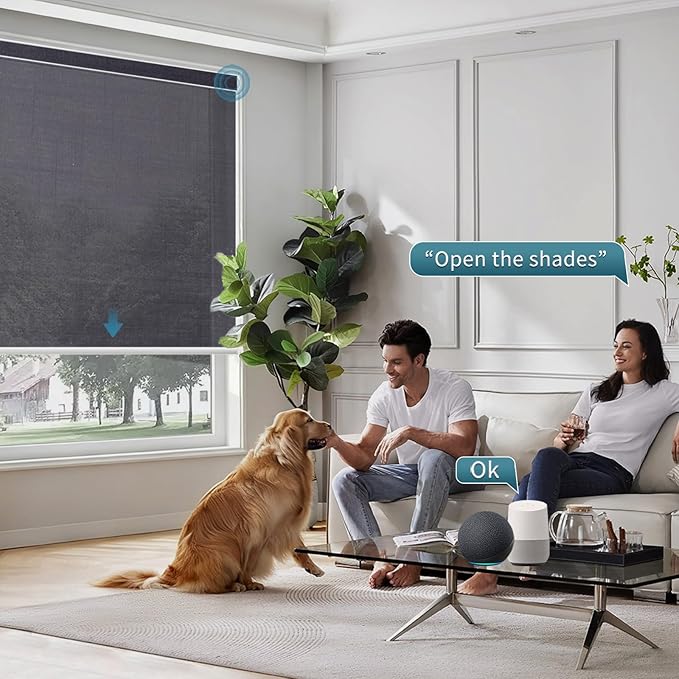 Motorized Blinds with Remote,60% Blackout Light Filtering Shades Compatible with Alexa Google Homekit,Automatic Blinds,Custom Size,Dark Shadow