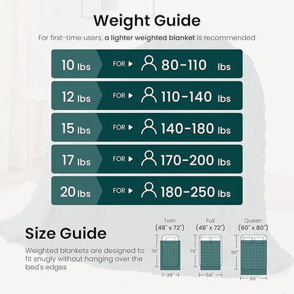 Drewin Queen Size Weighted Blanket for Adults 20 lbs, Soft Fuzzy Jacquard Sherpa Weighted Blankets for Sleeping 60 x 80 inches, Cozy Sofa Bed Blanket for Winter, Dark Green
