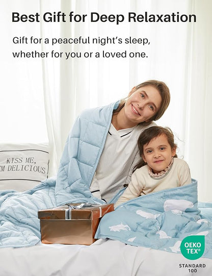 Weighted Idea Weighted Blankets for Adults (Baby Blue,48"x72",20lbs) Breathable Twin Blanket with Premium Glass Beads Heavy Soft Throw Blanket for All-Season