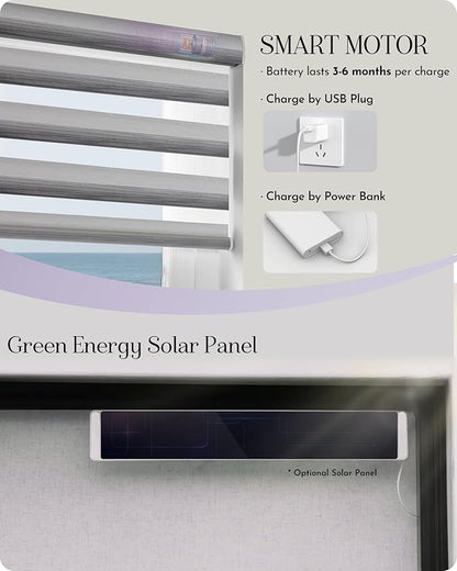 Graywind Motorized Blinds with Remote, Smart Zebra Shades for Windows, Roller Blinds Compatible with Apple Homekit, Alexa, Google Home, Custom Size, Gradient Grey Silver
