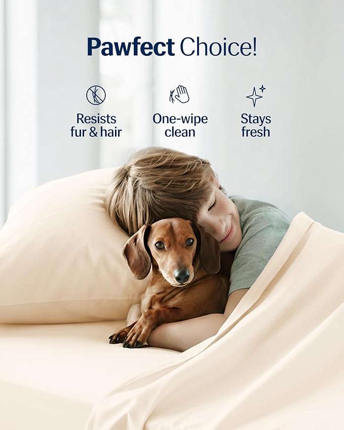 REST® Evercool®+ Starter Sheet Set, Twin, Snow Ivory, Breathable Bed Sheets for Hot Sleeper and Night Sweats, with Pillowcases, Ionic+ Self-Cleaning Silver Yarn for Sensitive Skin, 3PCS No Flat Sheet