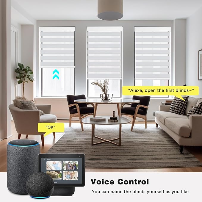 Changshade Blackout Motorized Smart Electric Automatic Zebra Blinds with Remote Control for Windows Sliding Glass Doors, Custom Zebra Roller Shades Work with Alexa, Goole Home, Apple Homekit, Grey
