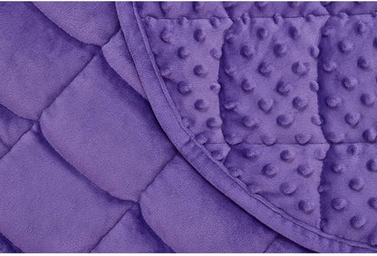 TONGDADA Weighted Lap Blanket 7lbs for Adult,Perfect for Relaxation, Lounging, Napping, Sleeping & Travel,Luxury Minky Weighted Body Blanket,Weighted Throw Blanket-Violet Minky Dot, 29" x 24"