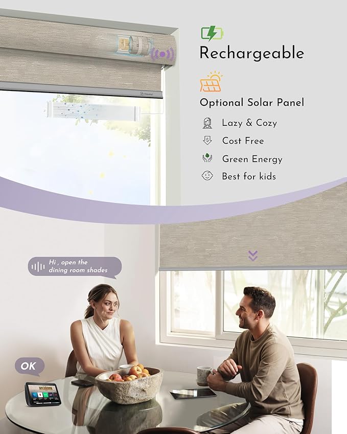 Graywind Motorized Roller Shades 100% Blackout Free Stop Window Shades Cordless Wireless Remote Control Window Roller Blinds with Valance for Smart Home and Office, Customized Size, Jacquard Coffee