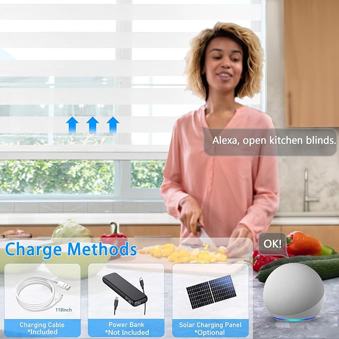 Motorized Zebra Blinds for Windows Cordless Electric Curtains with Remote Control Blackout Shades Custom Smart Blinds Compatible with Alexa Google Home(Light Filtering White,W39 X 72in)