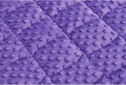 TONGDADA Weighted Lap Blanket 7lbs for Adult,Perfect for Relaxation, Lounging, Napping, Sleeping & Travel,Luxury Minky Weighted Body Blanket,Weighted Throw Blanket-Violet Minky Dot, 29" x 24"