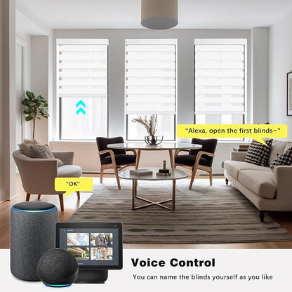 Changshade Custom Motorized Smart Zebra Blinds Remote Control, Cordless Blackout Electric Automatic Shades for Indoor Windows Doors Work with Alexa, Google Home, Apple Homekit, SmartThings, White