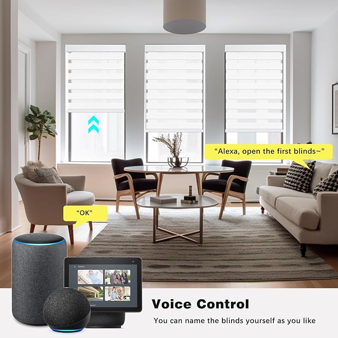 Changshade Smart Motorized Zebra Blinds Remote Control for Indoor Door Windows Blackout, Room Darkening Custom Size Shades Electric Power Automatic Work with Alexa, Google Home, Apple Homekit, White