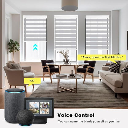 Changshade Smart Motorized Zebra Blinds Remote Control for Indoor Door Windows Light Filtering, Custom Size Shades Electric Power Automatic Compatible with Alexa, Google Home, Apple Homekit, Grey