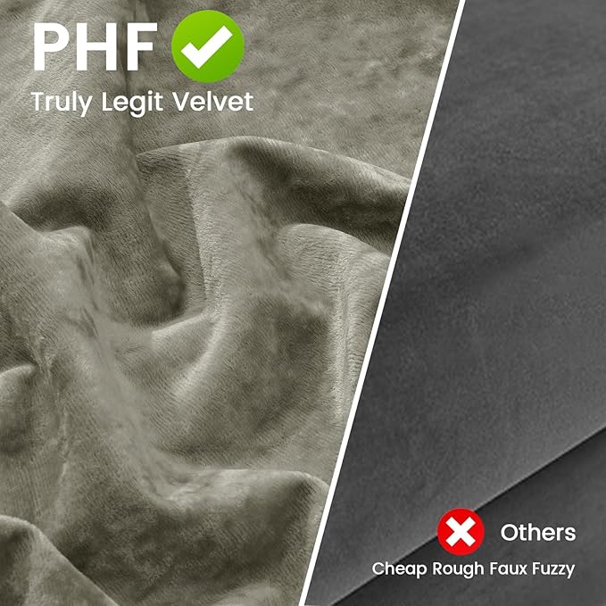 PHF Truly Velvet Euro Sham, 26"x 26",No Insert, 2 Pack Color Gradient Euro Throw Pillow Covers, Ultra Soft Cozy Pillow Covers for Home Decorative, No Shedding, No Pilling, Vetiver