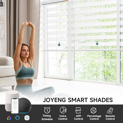 Motorized Zebra Blinds, Cordless Blackout Window Shades with Remote, Custom Dual Layer Smart Roller Shades Compatible with Alexa Google Assistant, Automatic Light Filtering Blinds,Luxury White