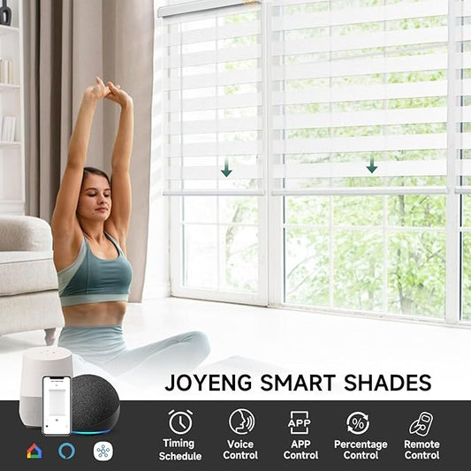 Motorized Zebra Blinds, Cordless Blackout Window Shades with Remote, Custom Dual Layer Smart Roller Shades Compatible with Alexa Google Assistant, Automatic Light Filtering Blinds,Luxury White