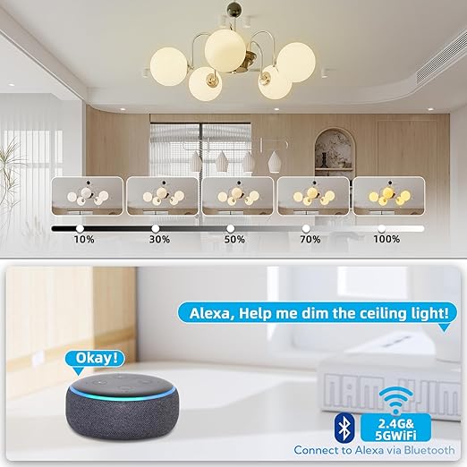 Wireless Dimmer Switch, 2 Remote Light and 1 Receiver kit, Work with Alexa Voice Control, Single Pole Smart Wall Switch Lighting Fixture for Ceiling Lights Lamps, Support 2.4G&5G