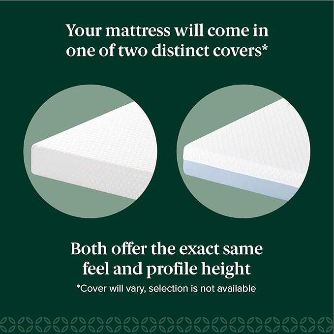 Zinus 6 Inch Queen Cooling Essential Memory Foam Mattress [NewVersion], Fiberglass Free, Medium Feel, Breathable Cooling Layers, Certified Safe Materials