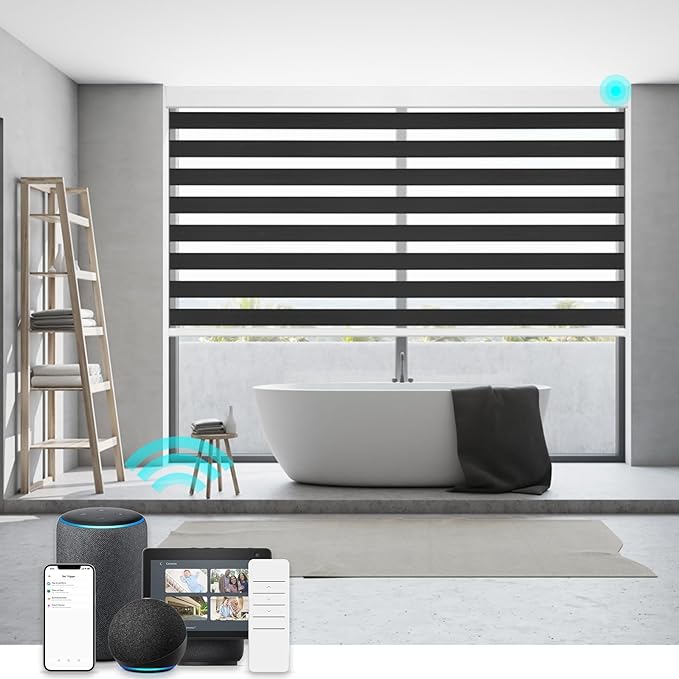 Changshade Smart Motorized Zebra Blinds Remote Control for Indoor Door Windows Blackout, Room Darkening Custom Size Shades Electric Power Automatic Work with Alexa, Google Home, Apple Homekit, Black