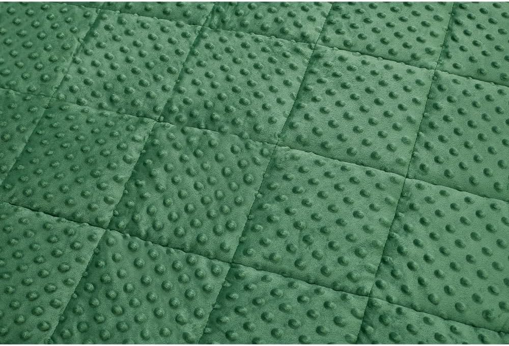 TONGDADA Minky Weighted Blanket | 40''x60'',10lbs | Cozy and Soft Minky Weighted Throw Blanket | Luxury Velvet with Premium Glass Beads | Dark Green Minky