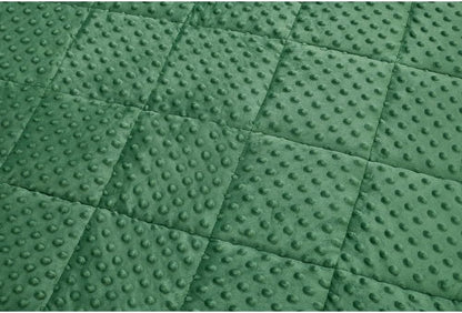 TONGDADA Minky Weighted Blanket | 40''x60'',10lbs | Cozy and Soft Minky Weighted Throw Blanket | Luxury Velvet with Premium Glass Beads | Dark Green Minky